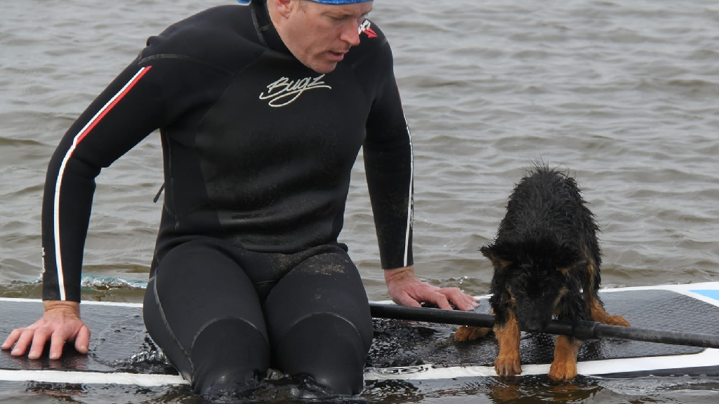 Dog sur Mer en watersport