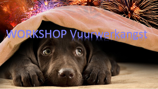 Vuurwerkangst