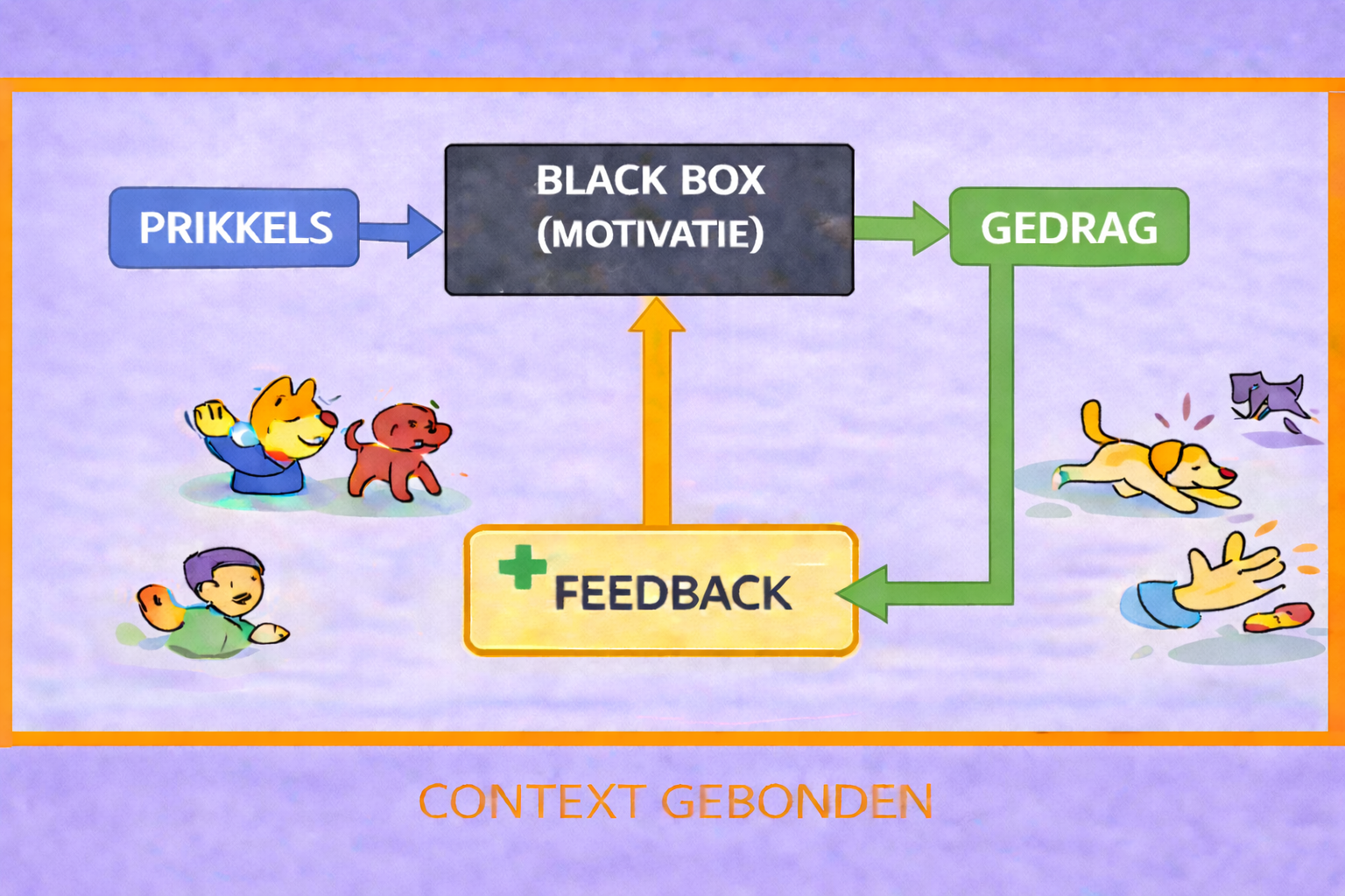 Black box visie: prikkels → black box → gedrag, met feedback